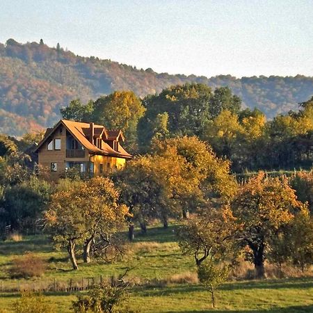 Casa Zollo Apartment Sălişte Exterior foto
