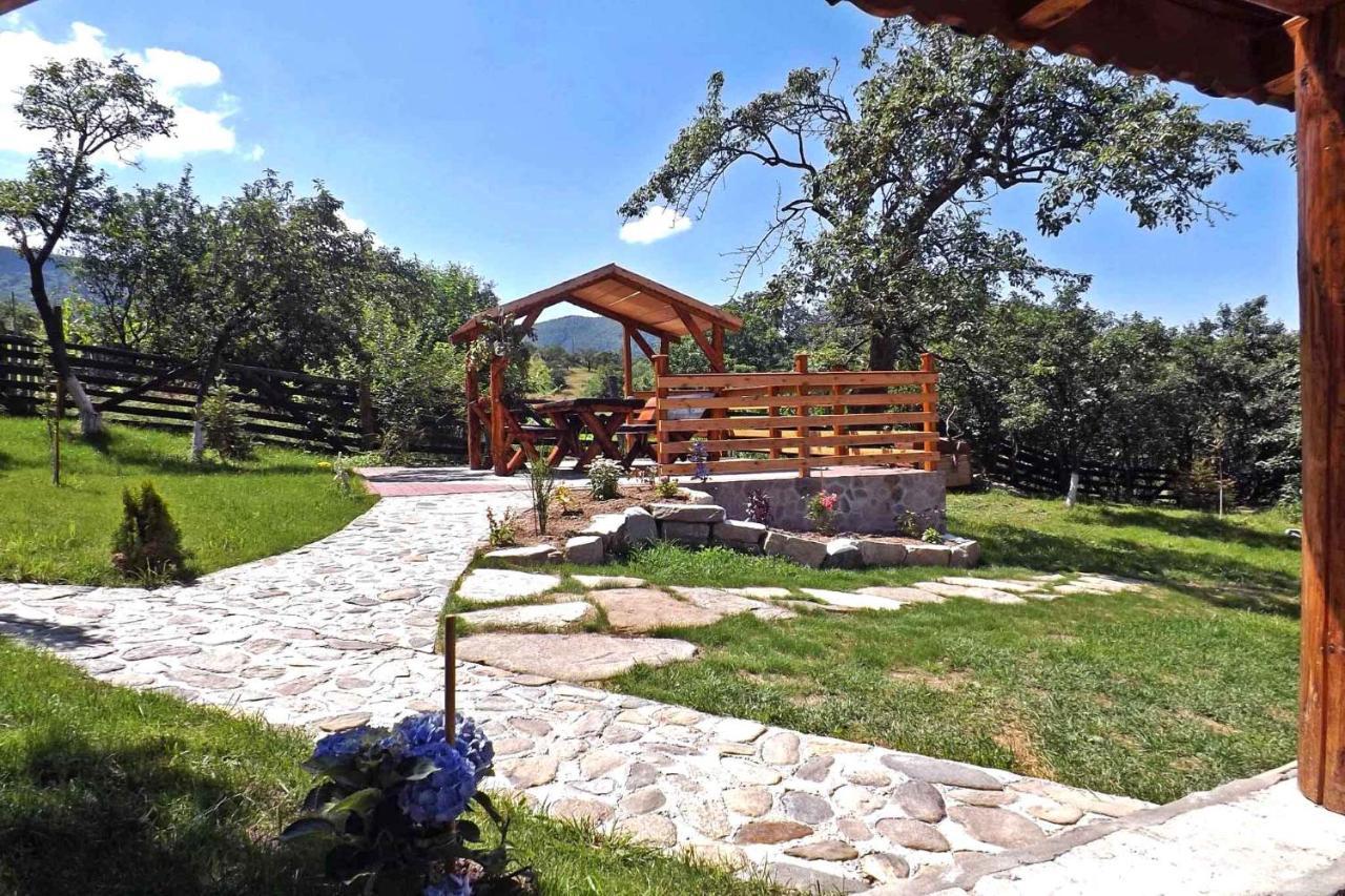 Casa Zollo Apartment Sălişte Exterior foto