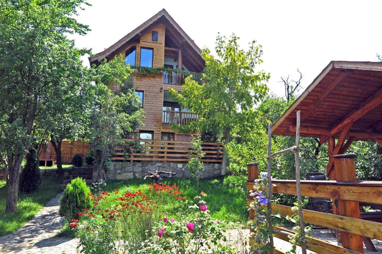 Casa Zollo Apartment Sălişte Exterior foto