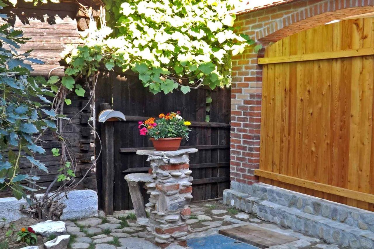 Casa Zollo Apartment Sălişte Exterior foto
