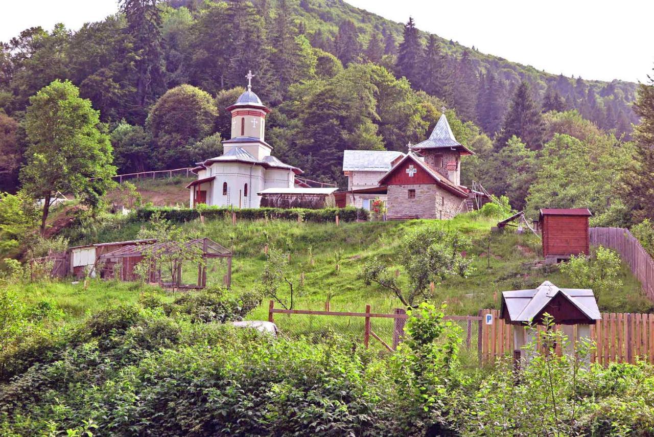 Casa Zollo Apartment Sălişte Exterior foto