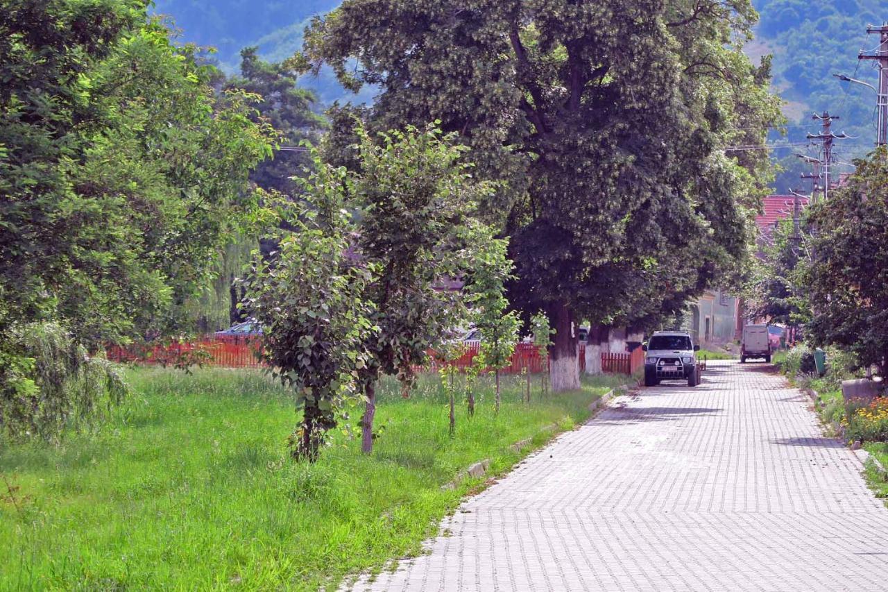 Casa Zollo Apartment Sălişte Exterior foto