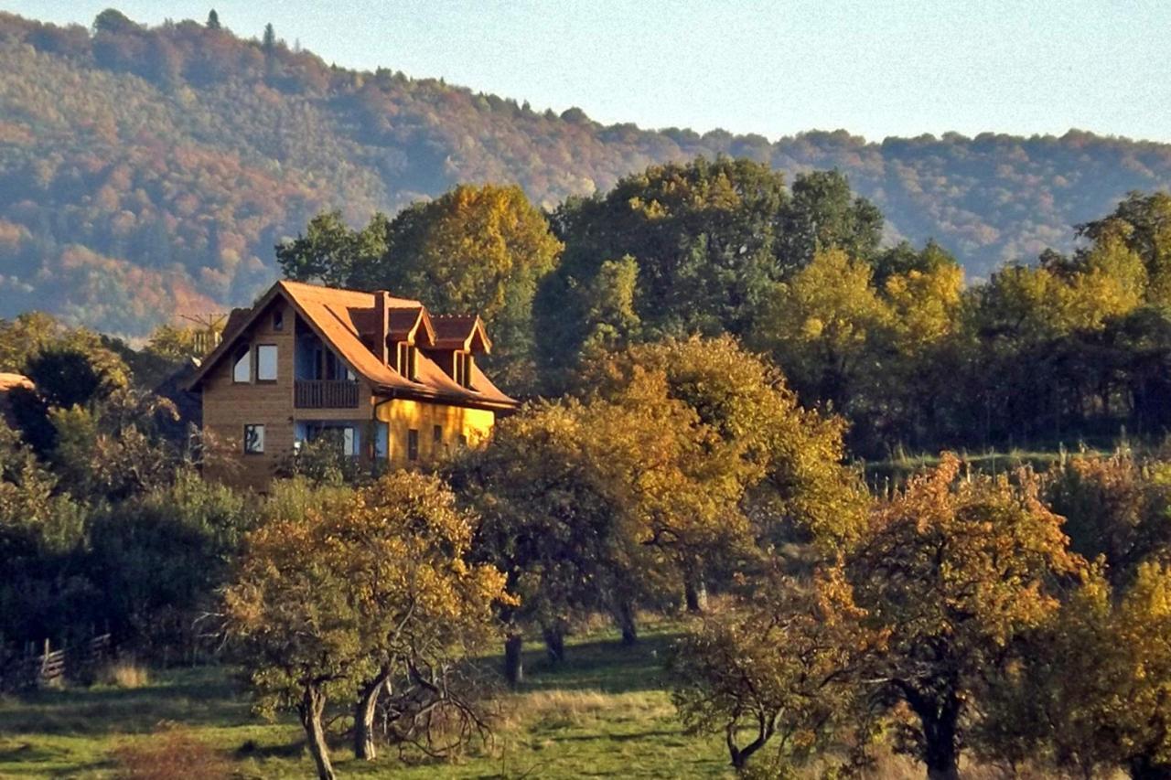 Casa Zollo Apartment Sălişte Exterior foto